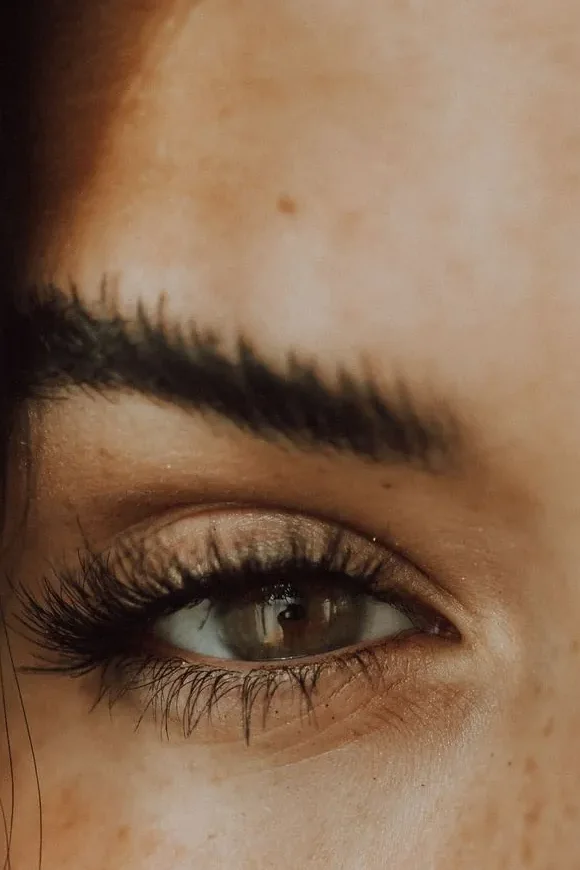 Lashes, Brows & Waxing at Rejuvia