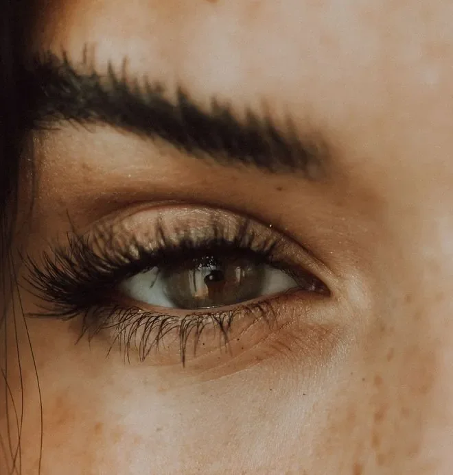Defined lashes and brows at Rejuvia