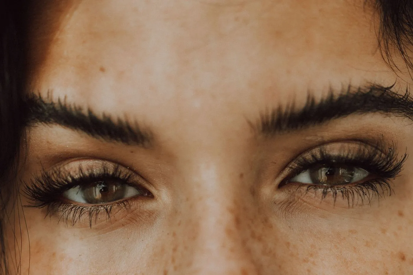 Lashes, Brows & Waxing at Rejuvia